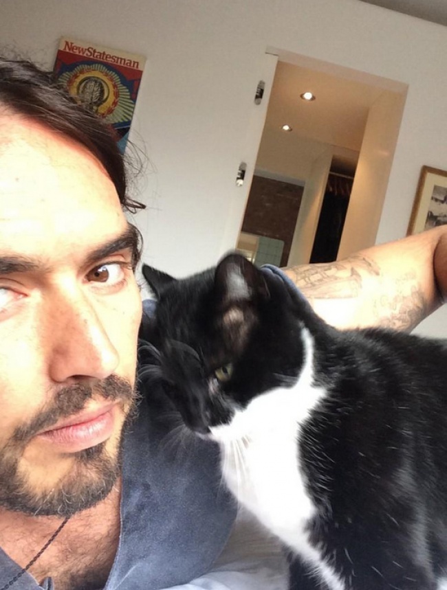 4973060-650-1449499464-russell_brand_cats_twitter
