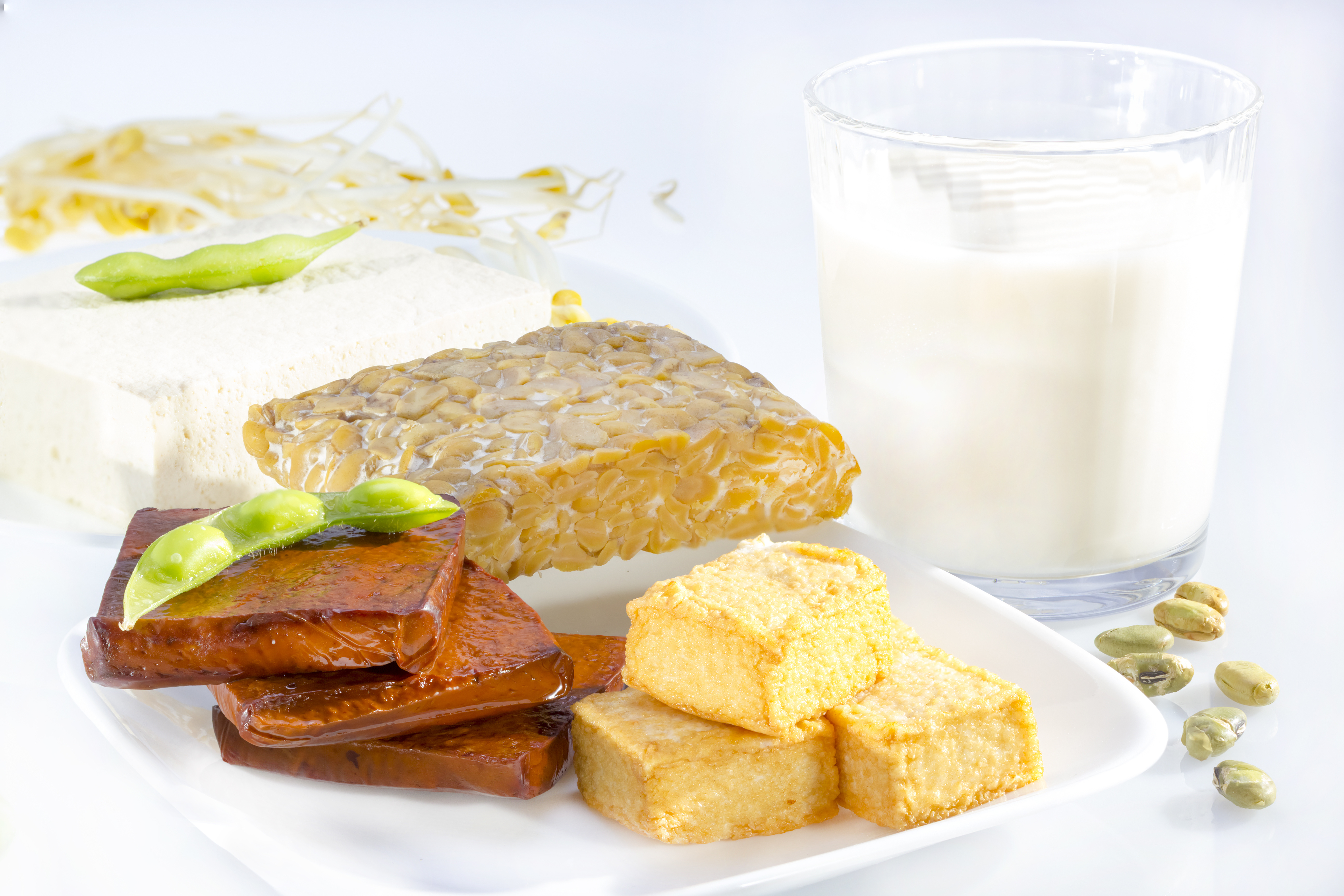 Variety of soy products including tofu, tempeh, milk and sprouts.