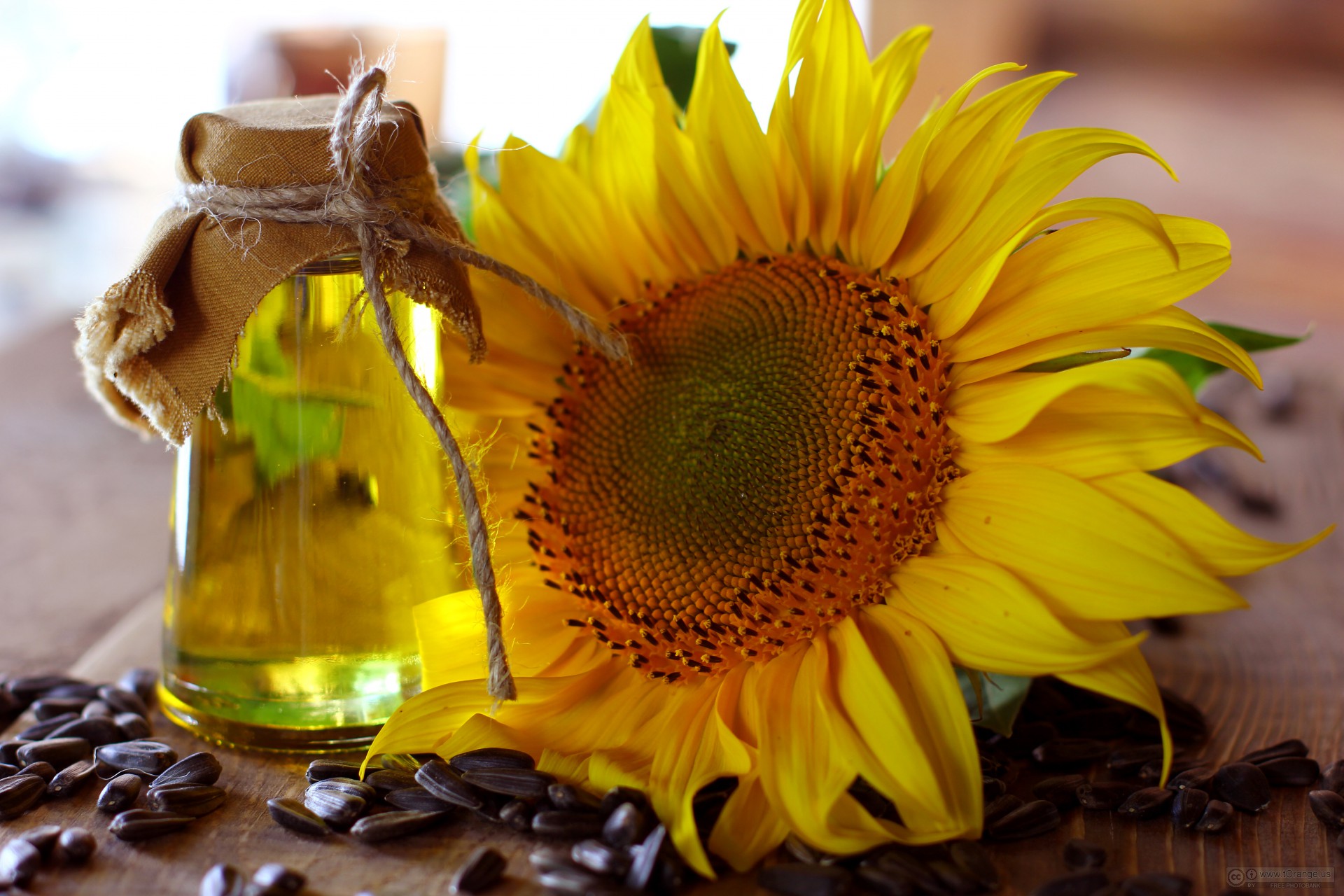 Crude sunflower oil unrefined