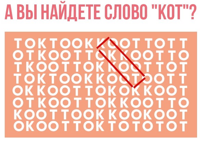 tok-kot_b6d767d2f8ed5d21a44b0e5886680cb9